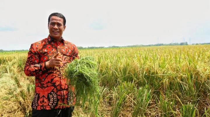 29 Ribu Ton Beras Bulog Rusak, Mentan: “Karena Kebanyakan Stok, Bukan Nggak Ada” Menteri Pertanian, Amran Sulaiman.