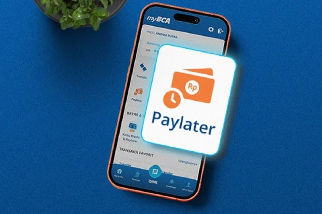 OJK Awasi Praktik Gestun pada Layanan Paylater Ilustrasi Paylater