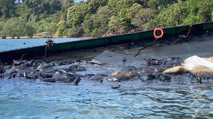 DLH Batam Ambil Sampel Limbah Hitam yang Cemari Pesisir Dangas Kapal pengangkut limbah hitam kandas di perairan Dangas, Batam.