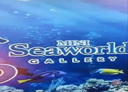 Wahana Mini Aquarium di Nongsa Disorot Warga Terkait Dugaan Pemeliharaan Satwa Dilindungi